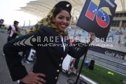 Formula one - Bahrain Grand Prix 2013 - Sunday