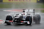 British Grand Prix 2012 - Friday