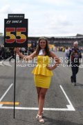 Formula one - British Grand Prix 2015 - Sunday