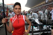 Formula one - Indian Grand Prix 2012 - Sunday