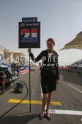 Formula one - Bahrain Grand Prix 2013 - Sunday