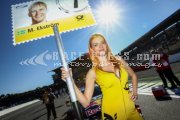 DTM Hockenheim II - 10th Round 2014 - Sunday