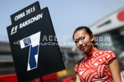 Formula one - Chinese Grand Prix 2015 - Sunday