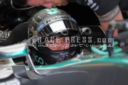 Formula one - British Grand Prix 2015 - Friday