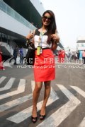 Formula one - Indian Grand Prix 2012 - Sunday