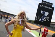 Formula one - British Grand Prix 2015 - Sunday