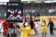 Formula one - British Grand Prix 2015 - Sunday